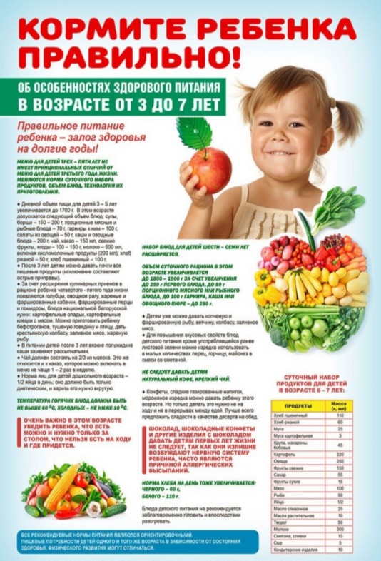 Организация питания в ДОУ Организация питания в ДОУ